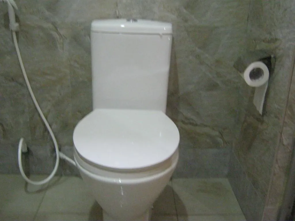Aurora - Negombo Budget Hostel Vendégház